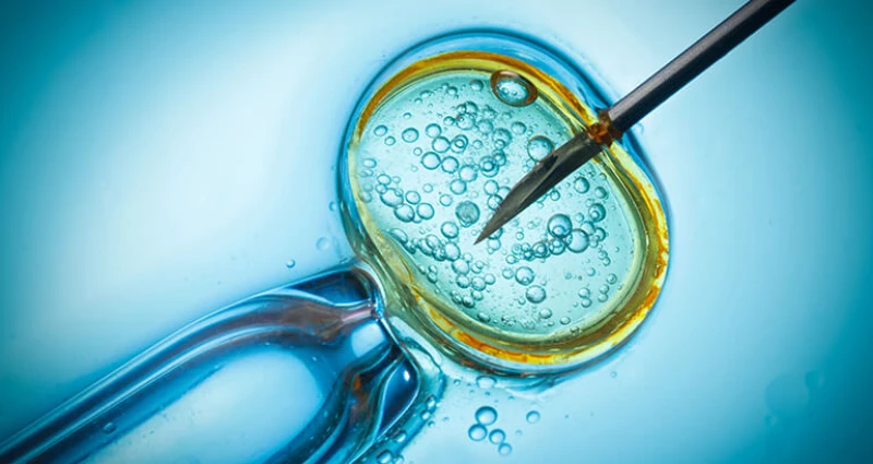 Fertility Preservation