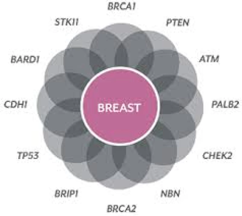 Mothers, Daughters & Alphabet Soup