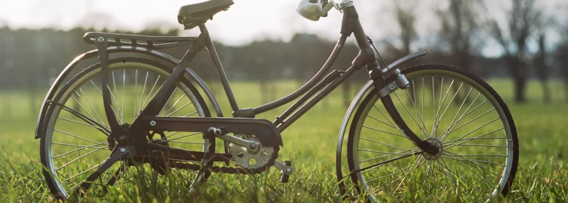 Frame, Tires, Brakes and Gears